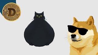  Catamoto = New Cat Meme Coin With Meow Blowing Tokenomics  CryptoDoge 