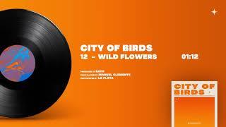 Rayo - 12 WILD FLOWERS [City Of Birds]