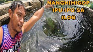 IPU-IPO SA ILOG || August 11, 2024