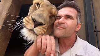 Animal Reunion | The Lion Whisperer