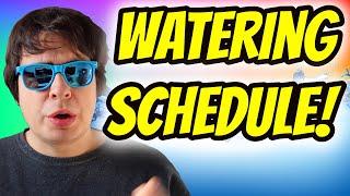 BREAKING DOWN WATERING & FEEDING SCHEDULES!