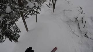 Kinsman Glades  Cannon Mt. 2/2/2019