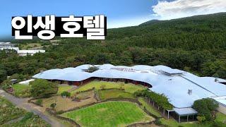 많은 사람들이 인생 호텔로 꼽는 제주 호텔 - 포도호텔