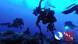 Дайвинг / Египет / Томас Коньон (Thomas Canyon) / Diving