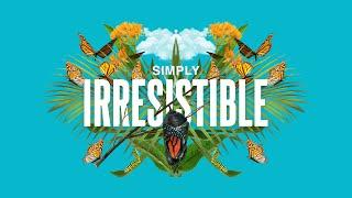 Simply Irresistible Season 2