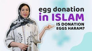 Egg Donation in Islam: Is it Halal or Haram? Expert Opinions from Shia and Sunni Scholars #islamic