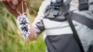 Fly Fishing  For Big Trout With MOUSE FLIES