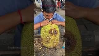 40Kg HUGE Kathal (jackfruit) of Surat Have you eaten this?? #jackfruit #surat #streetfood #shorts