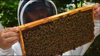 Veterans Overcome Personal Battles through 'Hives for Heroes'