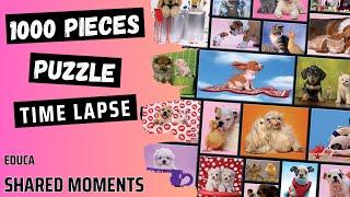 Solving Shared Moments 1000 Pieces | Educa Puzzle | Time Lapse