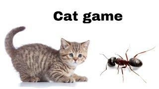 Ant on the screen to make fun with cat | cat games