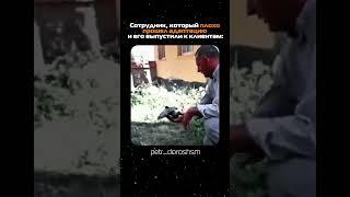 Сотрудник плохо прошел адаптацию