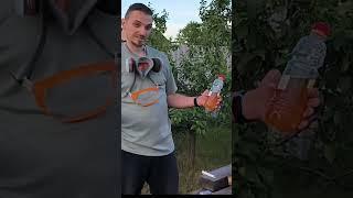 обработка винограда перед цветением #дача #огород #виноград #обработкавинограда #садоводничество