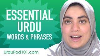 Essential Urdu Words and Phrases to Sound Like a Native