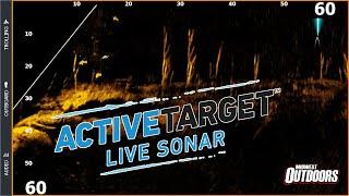 Lowrance Active Target Overview