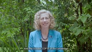 IDB 2024 - Statement from Inger Andersen - Executive Director, United Nations Environment Programme