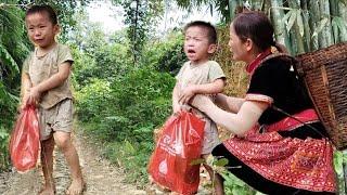 Going to the forest to meet an abandoned child. Bring them back for adoption  Tiểu Vi - Daily life