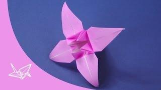 Origami Blume - Faltanleitung