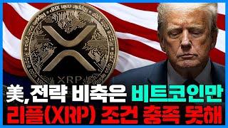 美코인업계, 전략 비축은 비트코인만…리플(XRP) 조건 충족 못해