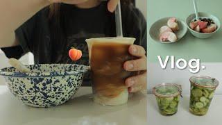 Vlog-퇴근후 집밥/편스토랑 닭전 만들기/WECK유리병/초간단 피클 만들기/오프아워 잠옷  후기