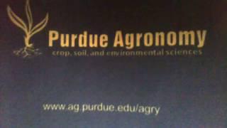 Why I Chose Purdue Agronomy - Tricia Edwards