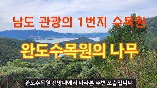 난대림 나무 1/4편 - 10월 완도수목원의 나무 26종류 해설