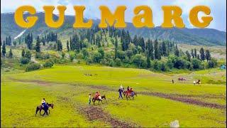 Gulmarg Kashmir | Gondola Ride Gulmarg | Gulmarg in Summer | Meadow of Flowers