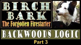 BIRCH BARK, The Forgotten Firestarter