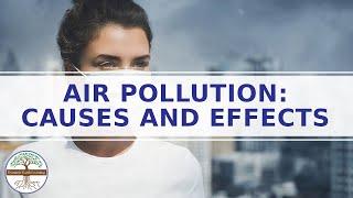 Air Pollution Causes and Effects - Smog - Explainer Video