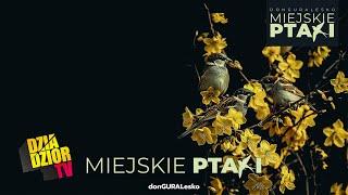 DGE - MIEJSKIE PTAKI (prod. kbbeatz) [MIEJSKIE PTAKI]