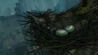 Dark Souls: How to get to the Bird's nest in Northern Undead Asylum + more