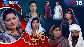 Baghul - Episode 16 | Sindh TV Drama Serial | SindhTVHD Drama