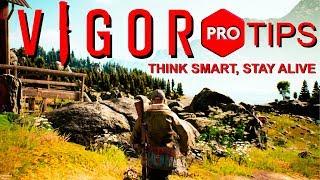 How to Vigor - Vigor Pro Tips - Vigor Advanced Tips