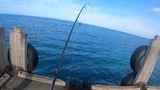 FISH ON,Bent Rods and beautiful  blue water ￼, Lancelin, W.A.