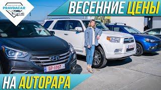 Весенние цены. Обзор авторынка Autopapa. Цены на авто в Грузии.