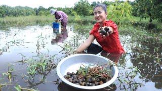 The raining day, Mother and me go to find snails for cooking / Simple recipe in countryside