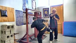 Wing Chun dummy form section 7 | NORTH YORK WING CHUN