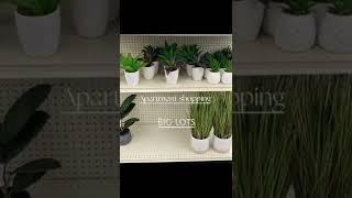 Apartment shopping | #short