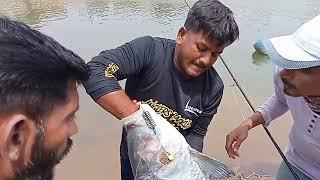 #fish Amir khan angler trackle India.big size katla catch MP fishing aurwad