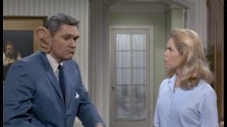 Remembering Dick York | #Bewitched ‍️