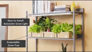 Verda Garden Modular|Smart, Space-Saving Way to Grow Veggies