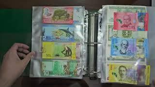 Amazing complete world paper money collection from every country! ASMR