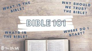 BIBLE 101 | What is the Bible? | Diving into the Bible for Christians!