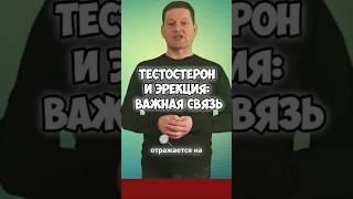 ВЫСОКИЙ ТЕСТОСТЕРОН- КРЕПКАЯ ЭРЕКЦИЯ