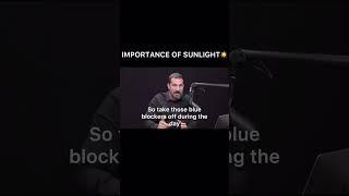 IMPORTANCE OF SUNLIGHT| Dr. Andrew Huberman #health #neuroscience