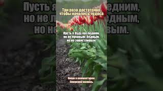 Молитва когда не хочется молиться #сомнения #духовнаяборьба #вера