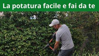 Fai da te: la Potatura facile