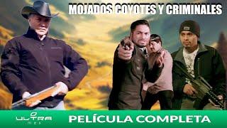 Mojados, Coyotes y Criminales | Película Mexicana Completa | Ultra Mex