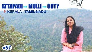 കോശി പറഞ്ഞ മുള്ളി വഴി ഊട്ടിക്ക് പോയപ്പോ || Attapadi Mulli Ooty Travel Route || Ooty ||Safnas Records