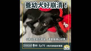 〈浪犬博士 x Faviana家〉 養幼犬好崩潰！為什麼努力學習，還是覺得心好累？｜S1Ep76